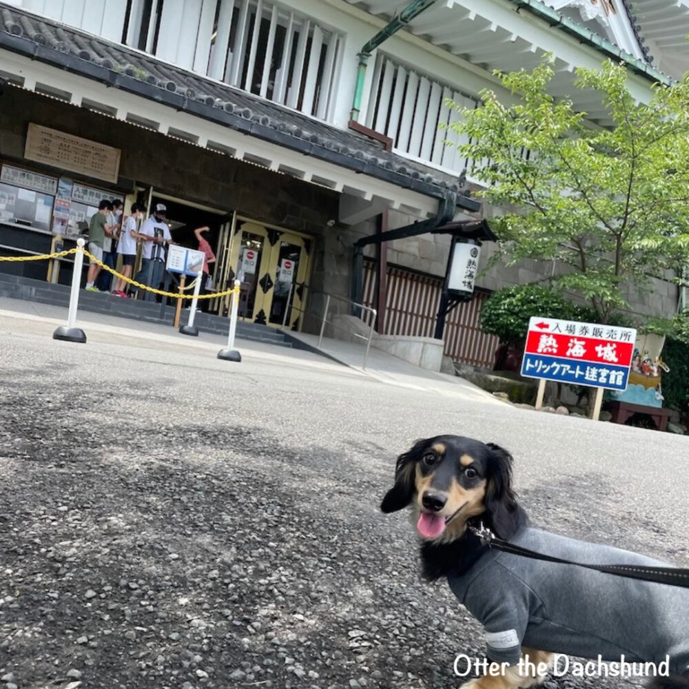 shizuoka_atami_travelwithdogs_熱海_犬と旅行_犬連れ旅行_202208_熱海城_Atami Castle_オッター
